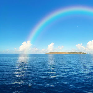 Meet your Posher, Araba